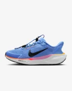 Nike Air Zoom Pegasus 41