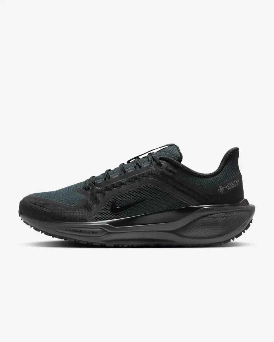 1-1-33-1-12-45-1-25 Nike Air Zoom Pegasus 41 GORE-TEX - Imagen 1
