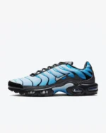 Nike Air Max Plus